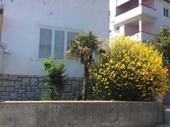 Apartment Ella Banjol Ngoại thất bức ảnh